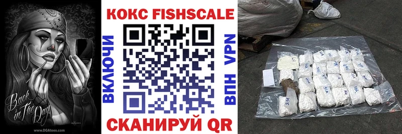 Купить закладки  Ульяновск  COCAIN Fish Scale 