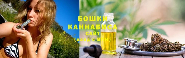 МДПВ Гусев
