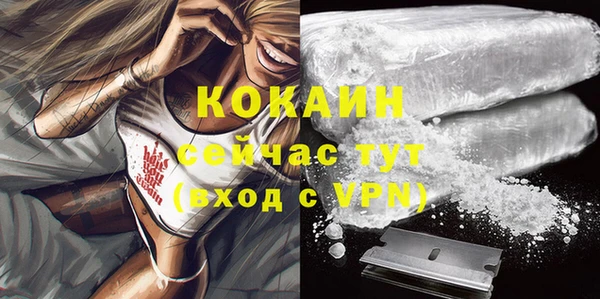 МДПВ Гусев