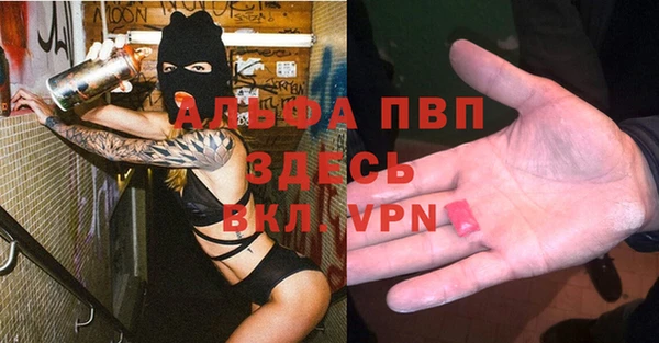 МДПВ Гусев