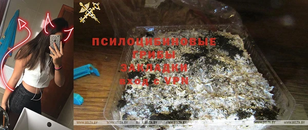 МДПВ Гусев