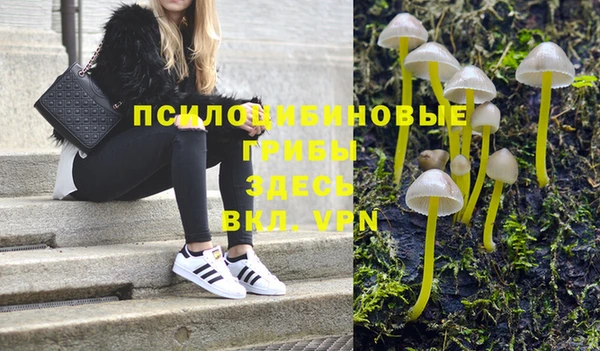 МДПВ Гусев