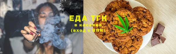 МДПВ Гусев